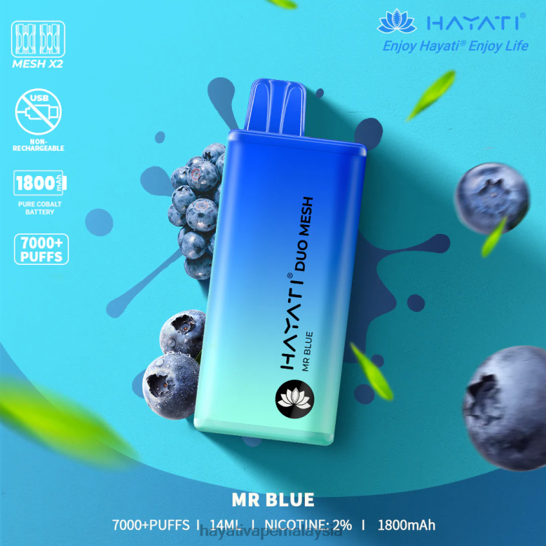 encik biru