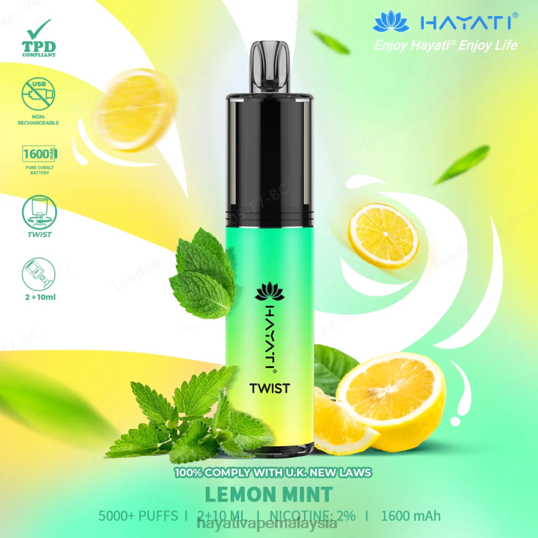 pudina lemon